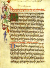 codexcusanus218 small image